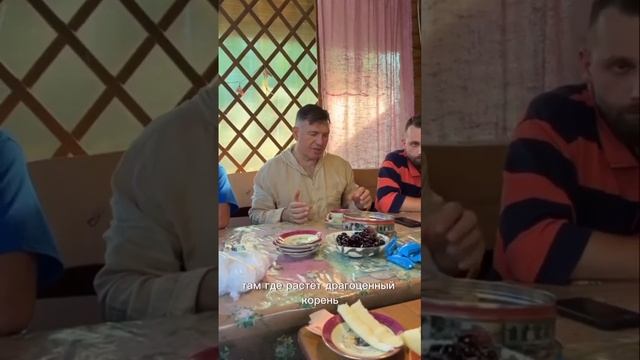 Незаменимая польза трав - Masterway смотреть онлайн