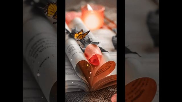 🤍💜🕊Hallelujah🕊💜🤍Song by John Cale(Subtitulada:Ingles/Español) смотреть онлайн
