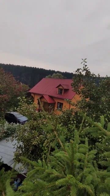 снижение кроны Ели часть 3 мой телефон 8 918 387 43 85 Олег я работаю в Химках #снижениекроны смотреть онлайн