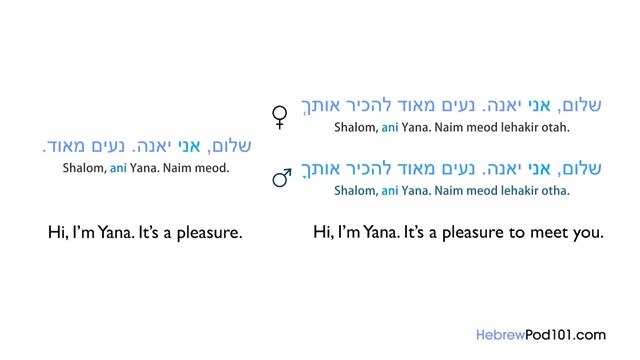 All Travel Phrases You Need in Hebrew! Learn Hebrew in 25 Minutes! смотреть онлайн