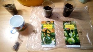 Лагенария. Сажаем лагенарию.2 способа)Очень интересная декоративная тыква!