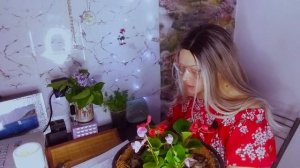 #бегония#begonia БЕГОНИЯ - ЦВЕТЫ КОТОРЫЕ ЛЮБЯТ ТЕНЬ!#дача #botany #красота#красивыйсад#вечноцветуща