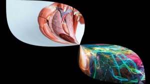 Польза РОЗОВОЙ ГИМАЛАЙСКОЙ СОЛИ