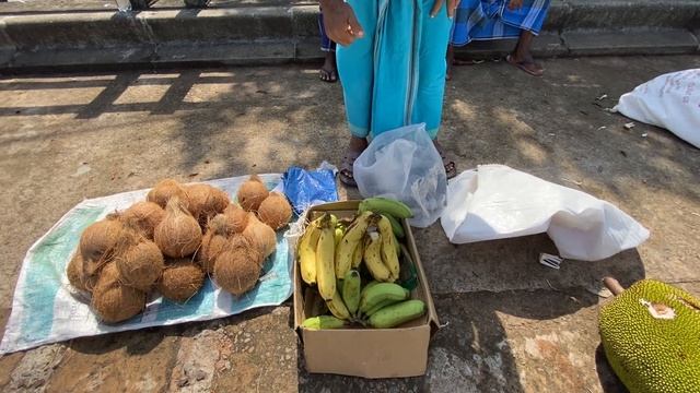Покупаю Джек фрукт, Шри Ланка, Галле в апреле / Buyng Jack fruit in Sri Lanka Galle in April смотреть онлайн