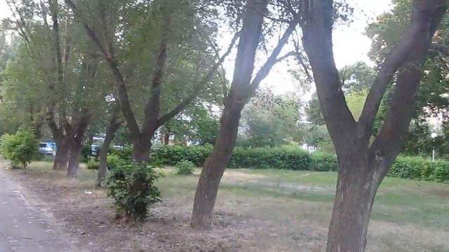 2019-06-05 - Прогулка по Московскому проспекту смотреть онлайн