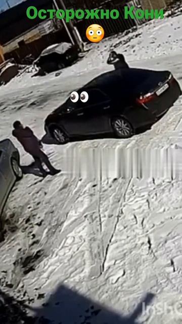 ОСТОРОЖНО КОНИ😳☝️ смотреть онлайн