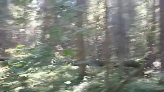 Наткнулись на немецкие позиции.Атака шершней чуть не пропал прибор полосатые чуть не отжали смотреть онлайн