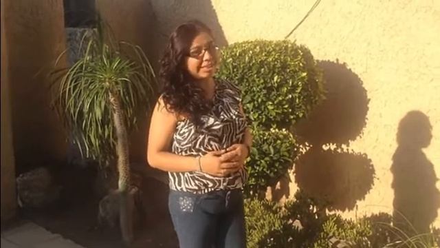 Proyecto Citrus Fruit Paradise смотреть онлайн