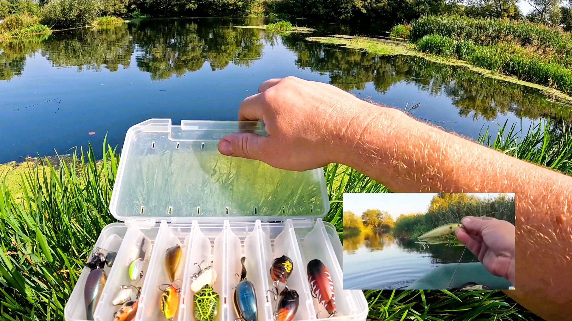 Закрытие летнего сезона. Река порадовала разной рыбой. Подводные съёмки. смотреть онлайн