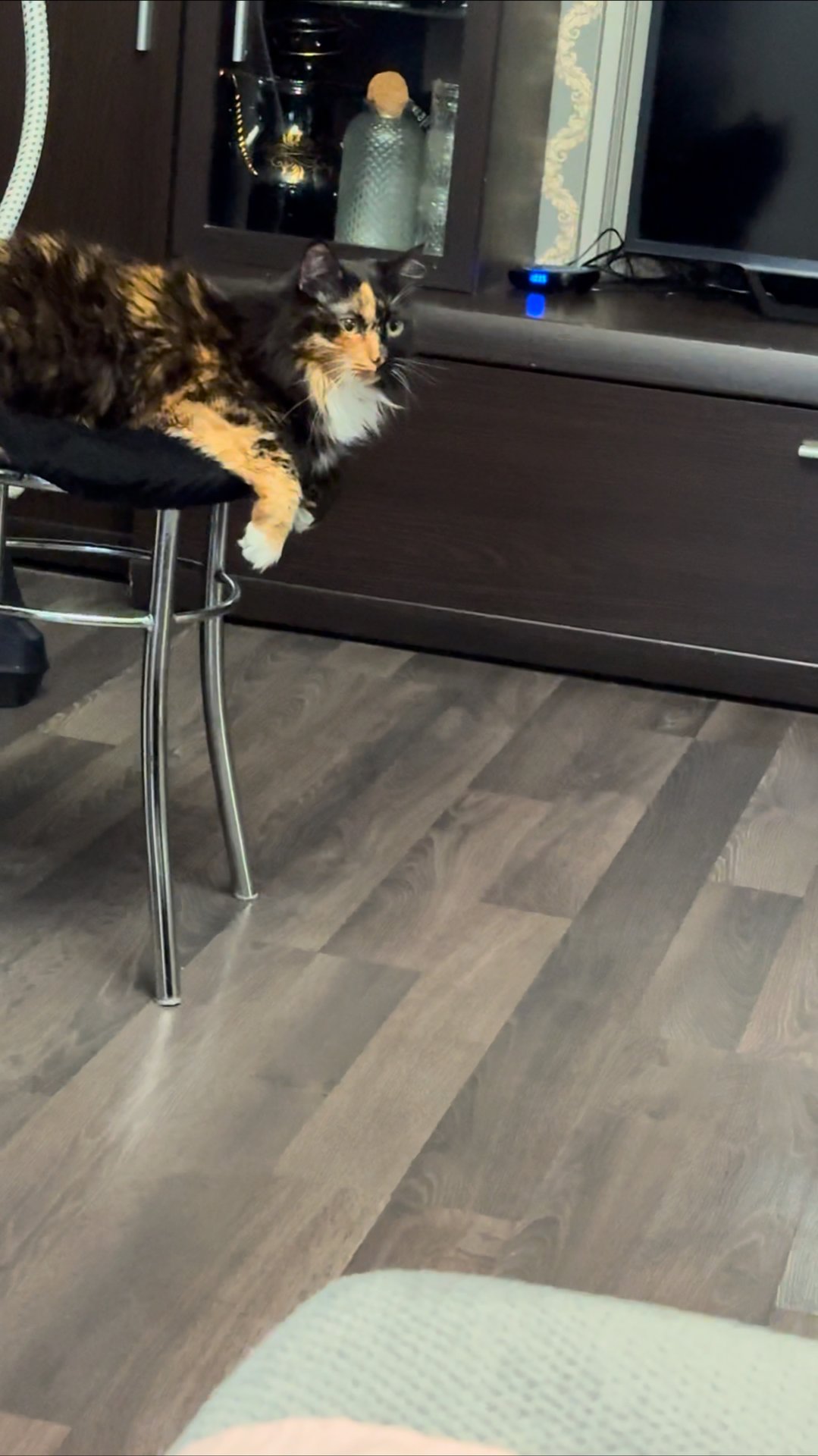 Возвращение Думяши