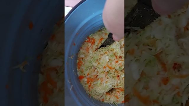 Квашенная капуста смотреть онлайн