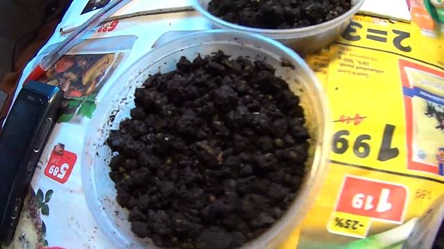 Коконы к отправке 29.03.2015. 1 смотреть онлайн