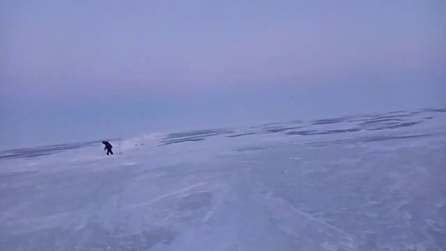 28 февраля 2021 г. смотреть онлайн