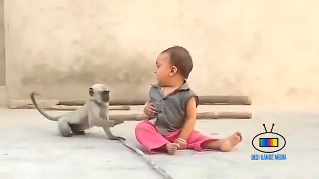 القرد_المضحك_مع_طفل_صغير__Funny_Monkey_and_Child