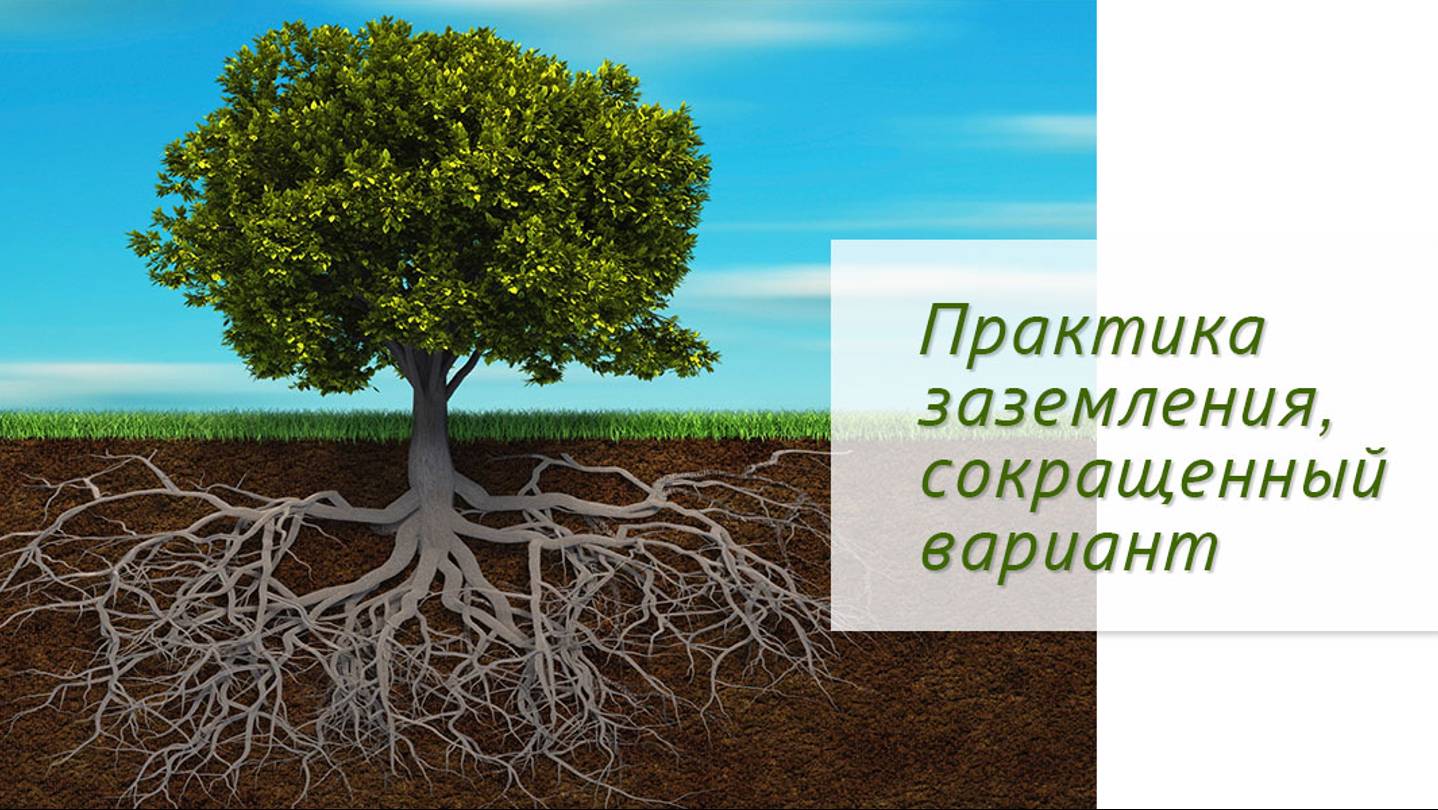 Практика заземления, сокращенный вариант смотреть онлайн