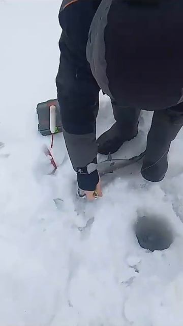 31 января 2024 г. смотреть онлайн