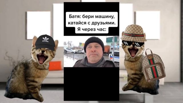 РЕАКЦИЯ КОТОВ НА ТИК ТОК!!! смотреть онлайн