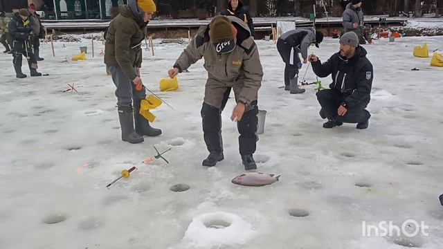 Турнир, 1 этап смотреть онлайн
