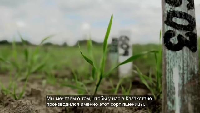 Тағдырымның тартуы Кенже Абдуллаев смотреть онлайн