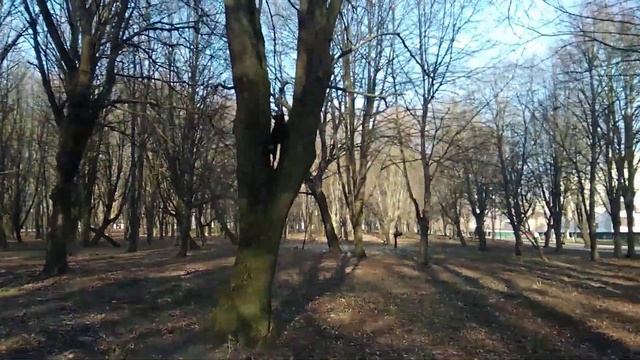 Ягдтерьер Джон смотреть онлайн