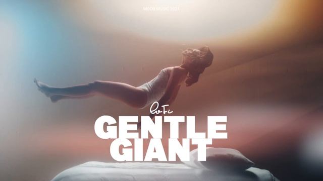 Relaxing LoFi GentleMusic SoftMelodies