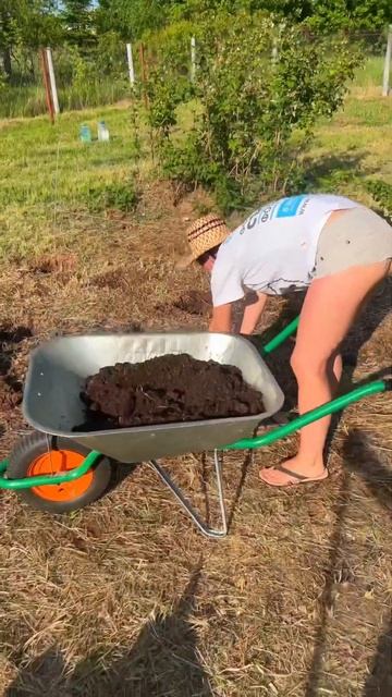 Делаю высокие грядки смотреть онлайн