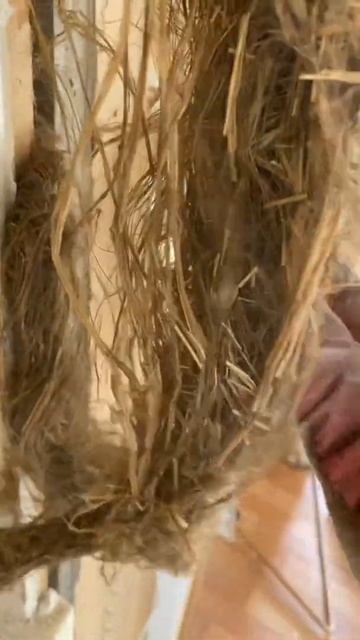 Ремонт 4 , конский волос . Новосибирск 2021. смотреть онлайн