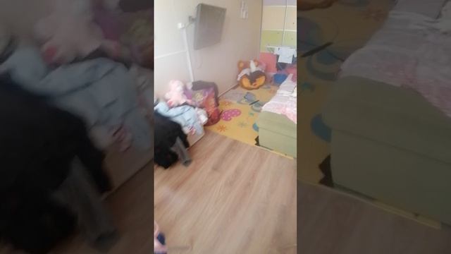VID_20250209_155811.mp4 смотреть онлайн