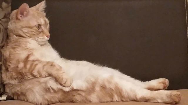 Семён смотрит Интерны смотреть онлайн