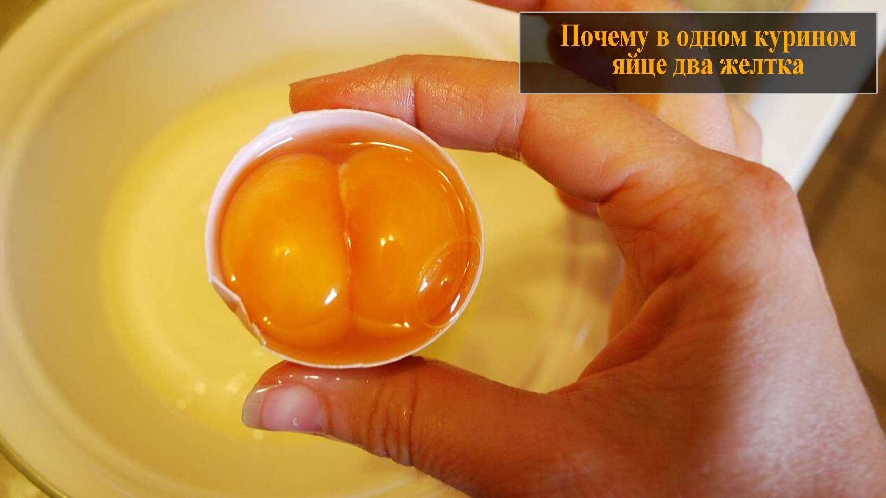 Почему в одном курином яйце два желтка смотреть онлайн