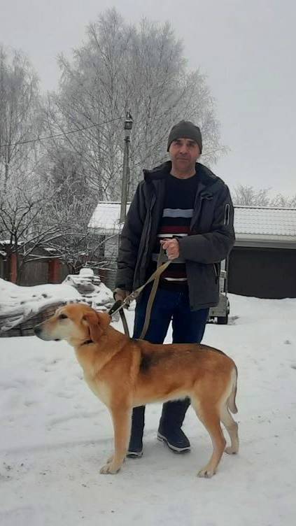 Русская гончая Умка вл. Поспелов Юрий.#охотасгончей #животные#топ#huntingjajan #собака#hunting смотреть онлайн