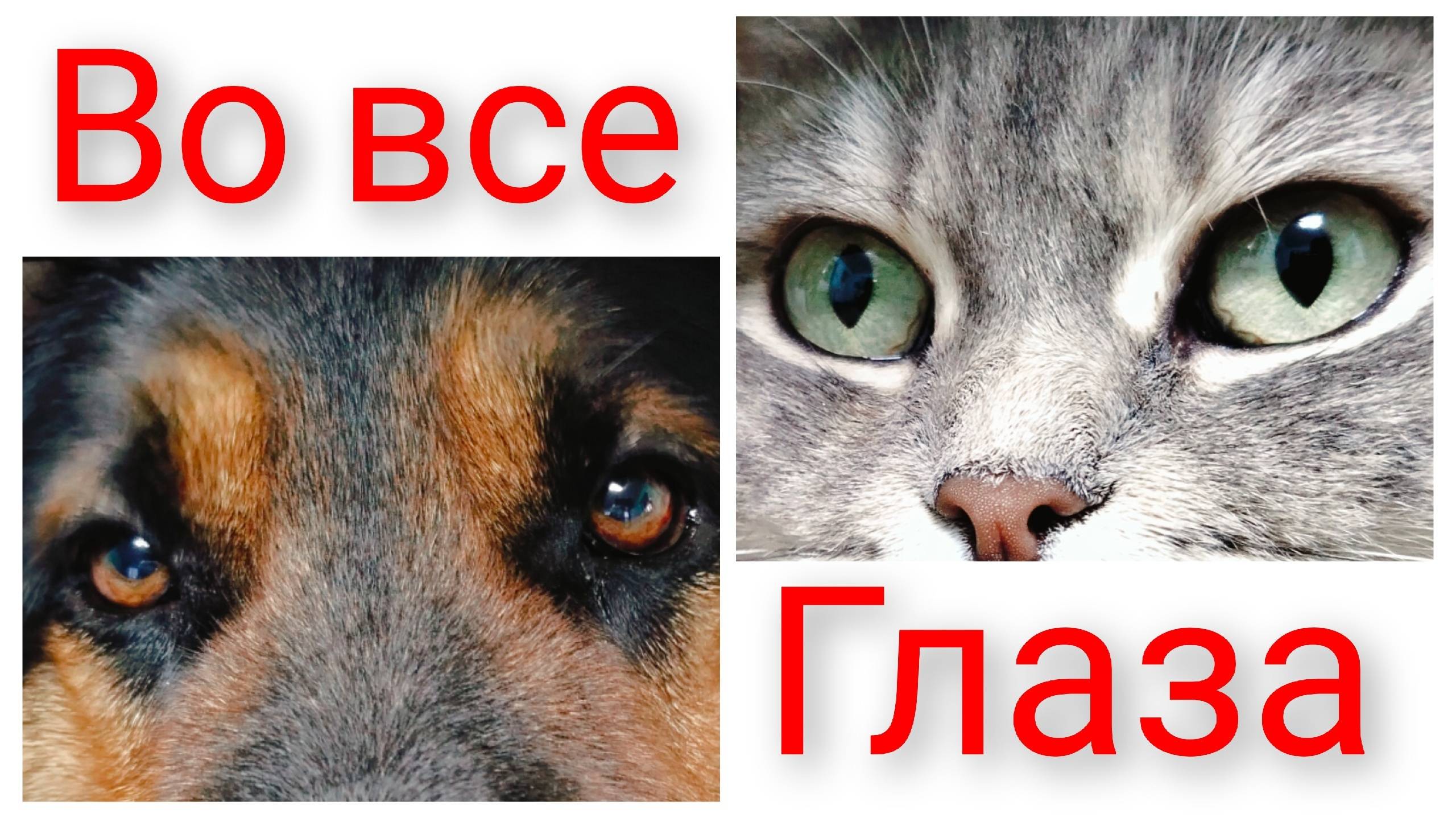 Холодно однако/Редистка в ушах/Странные танцы смотреть онлайн