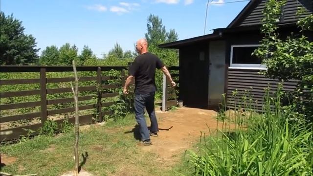 Шашка по прототипу Аббас-Мирза.