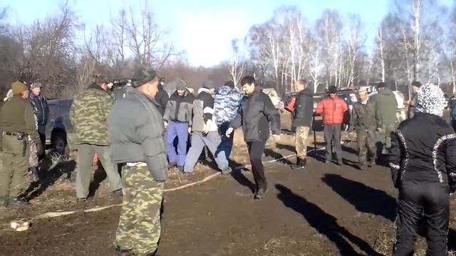 Бизон Рулит смотреть онлайн