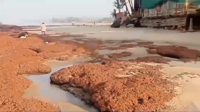 Индия 🇮🇳 смотреть онлайн