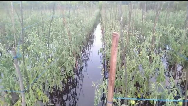 HABIS GELAP TERBITLAH TERANG#EDISI JUNI TENGELAM. смотреть онлайн