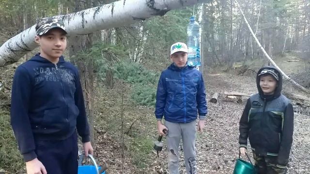 В поисках березового сока. смотреть онлайн