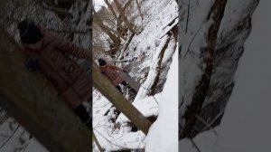 1 час в лесу на болоте