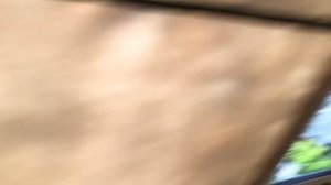 Обзор палатки "Рипус 6"