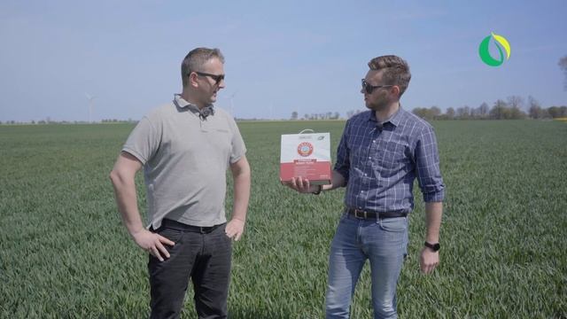 Odżywianie liścia flagowego смотреть онлайн