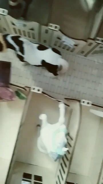 #лошадь #horse #лошадка #shorts #schleich смотреть онлайн