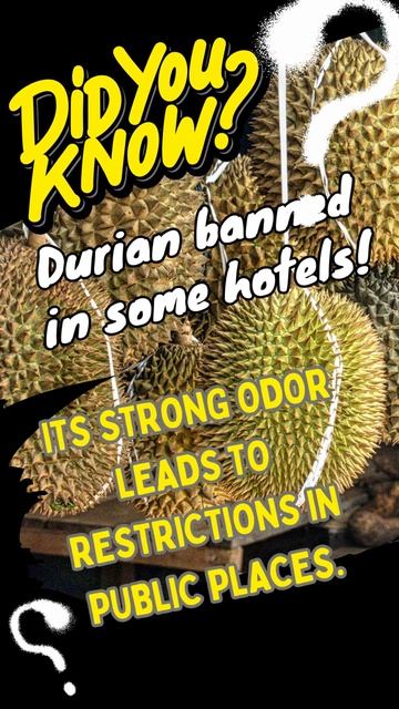 Fun FACT about FOOD #10 #dorian #shortvideo смотреть онлайн