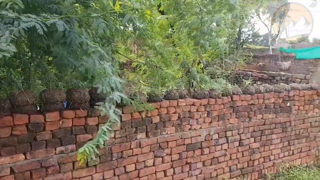 Pakistan beautiful village ! shahpur bhangu смотреть онлайн