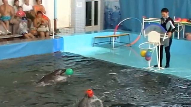 Выступление морских артистов Дельфинария Коктебеля. смотреть онлайн