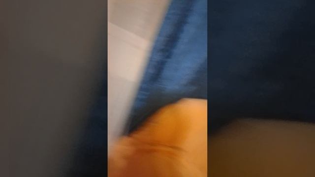 1000008720.mp4 смотреть онлайн