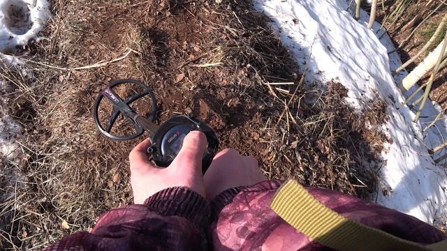 Чешуя на ребре! Сравниваем металлоискатели XP Deus двух поколений смотреть онлайн