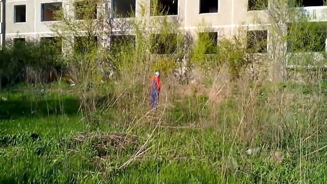 Пись-пись-пись