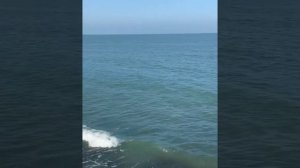 Макка Сагаипова   "сам себе друг сам себе враг"