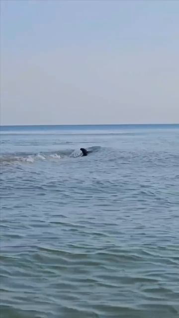 10.02.2025 Состояние пляжа 