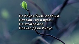 Не бойся быть слабым (Юлия Надвирнянская).